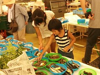 20130812_001737.jpg