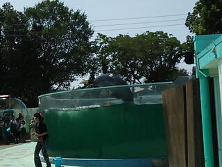 20130812_001820.jpg