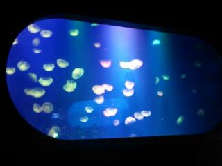 20130812_001834.jpg