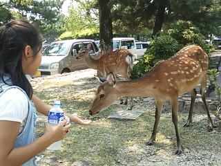 20130815_180635.jpg