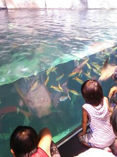 20130815_180750.jpg