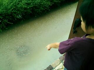20130904_201706.jpg