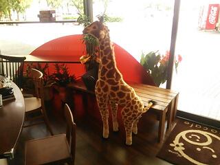 20131001_230910.jpg