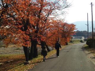 20131202_081221.jpg