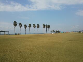 20131202_081924.jpg