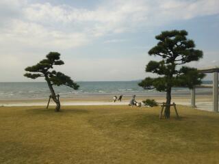 20131202_081938.jpg