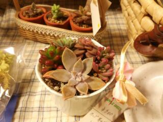 20131213_103949.jpg