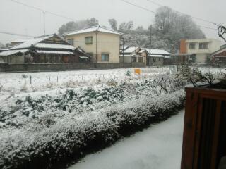 20140208_100342.jpg
