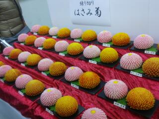 20140212_125456.jpg