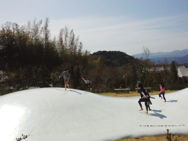 DSC_1808.jpg