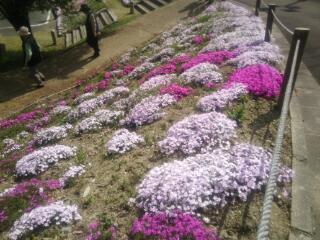 20140506_160758.jpg