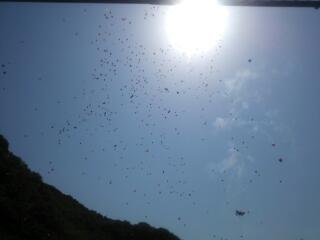 20140525_192833.jpg