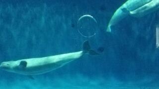 20140904_093141.jpg
