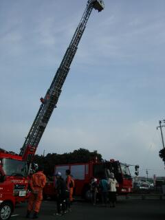 20141026_101900.jpg
