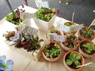 20141115_094234.jpg