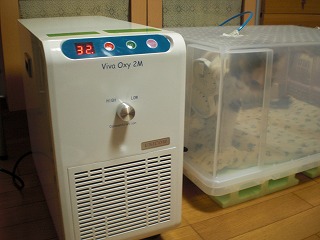 s-kjskd 10512.jpg