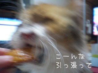 s-kjskd 16146.jpg