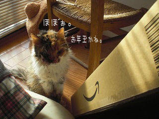 s-kjskd 16530.jpg