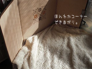 s-kjskd 16544.jpg