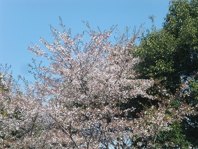 s-032.jpg