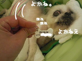 s-021 (2).jpg