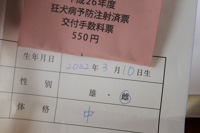 s-036 (3).jpg