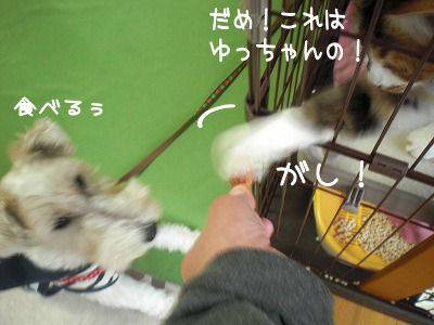 s-028 (2).jpg