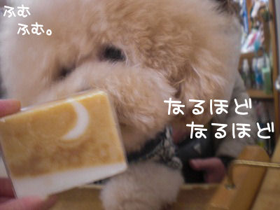 s-009 (2).jpg