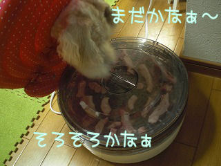 s-003 (4).jpg