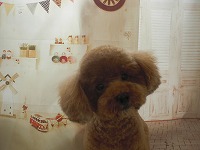 s-009 (2).jpg