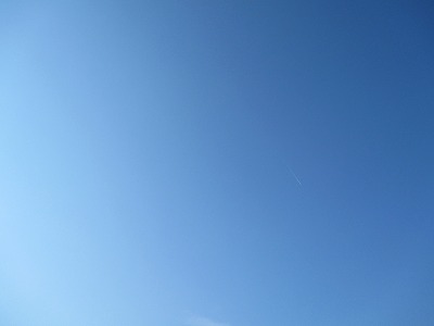 IMG_1446.jpg