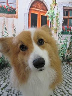 IMG_2866.jpg