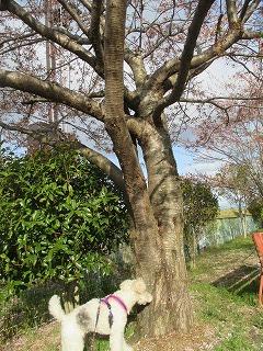 IMG_4684.jpg