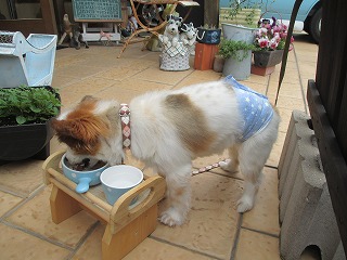 IMG_4696.jpg
