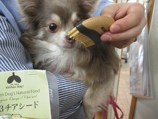 IMG_4931.jpg