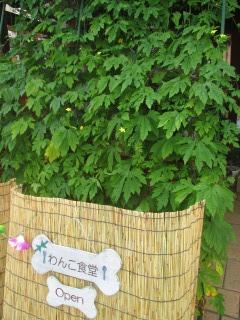 s-IMG_7347.jpg