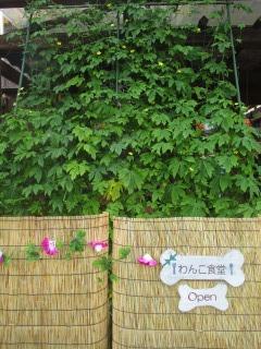 s-IMG_7346.jpg