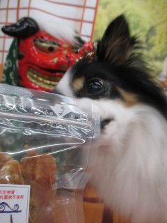 IMG_1689.jpg