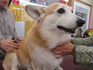 IMG_2657.jpg