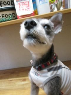 IMG_6464.jpg