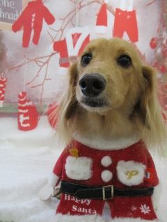IMG_9845.jpg