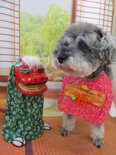 IMG_0548.jpg