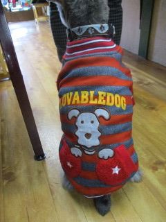 IMG_0889.jpg
