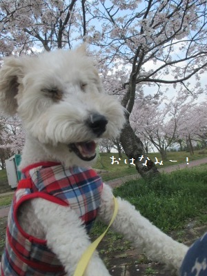 20170414_2370519.jpg