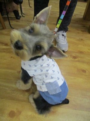 IMG_3140.jpg