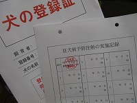 IMG_3788.jpg