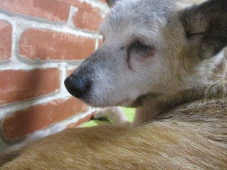 IMG_3825.jpg