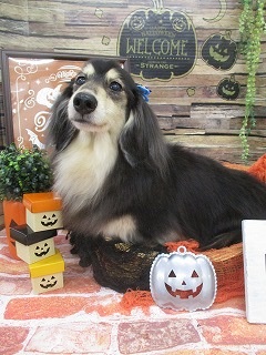 IMG_4670.jpg