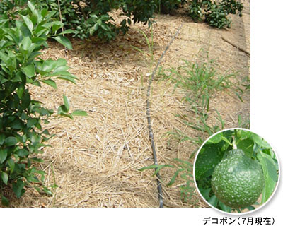 04-03