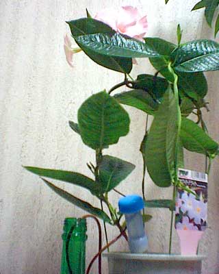 02-04
